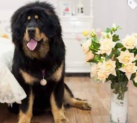 image.jpg (49.78 КБ, Просмотров: 4418) image.jpg