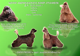 Реклама.jpg (882.62 КБ, Просмотров: 1366) Реклама.jpg