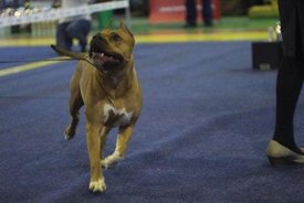 cfb_ksd5UNE - копия.jpg (17.12 КБ, Просмотров: 9860) cfb_ksd5UNE - копия.jpg