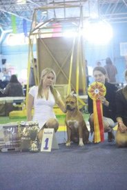 PB4xCUlL7DE - копия.jpg (22.65 КБ, Просмотров: 9683) PB4xCUlL7DE - копия.jpg