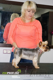 14958759_1371244772905429_415109922_n.jpg (219.91 КБ, Просмотров: 3158) 14958759_1371244772905429_415109922_n.jpg