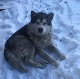 1.jpg (155.55 КБ, Просмотров: 1468) 1.jpg