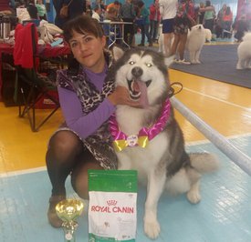 2016-11-20 14.05.50.jpg (246.25 КБ, Просмотров: 3532) 2016-11-20 14.05.50.jpg