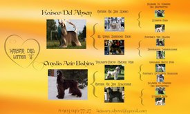 макет2_1.jpg (85.63 КБ, Просмотров: 1579) макет2_1.jpg