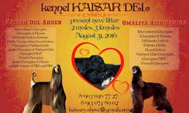 макет14 (1)1.jpg (135.89 КБ, Просмотров: 1579) макет14 (1)1.jpg