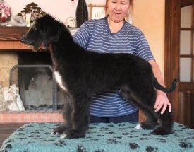 IMG_8421_1.jpg (115.63 КБ, Просмотров: 1559) IMG_8421_1.jpg