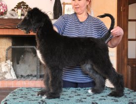 IMG_8427_1.jpg (118.48 КБ, Просмотров: 1558) IMG_8427_1.jpg