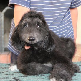 IMG_8442_1.jpg (94.95 КБ, Просмотров: 1558) IMG_8442_1.jpg