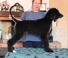 IMG_8321_1.jpg (104.89 КБ, Просмотров: 1539) IMG_8321_1.jpg