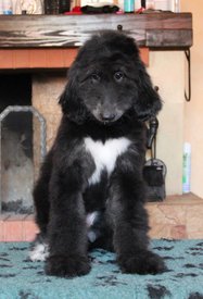 IMG_8349_1.jpg (98.23 КБ, Просмотров: 1539) IMG_8349_1.jpg