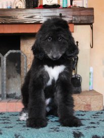 IMG_8350_1.jpg (101.19 КБ, Просмотров: 1586) IMG_8350_1.jpg