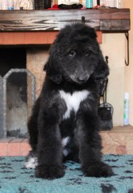 IMG_8351_1.jpg (99.59 КБ, Просмотров: 1539) IMG_8351_1.jpg