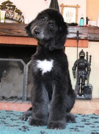 IMG_8287_1.jpg (106.35 КБ, Просмотров: 1517) IMG_8287_1.jpg