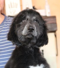 IMG_8276_1.jpg (74.42 КБ, Просмотров: 1565) IMG_8276_1.jpg