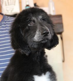 IMG_8275_1.jpg (70.68 КБ, Просмотров: 1518) IMG_8275_1.jpg