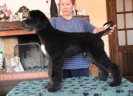 IMG_8254_1.jpg (116.31 КБ, Просмотров: 1517) IMG_8254_1.jpg