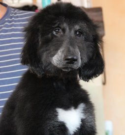 IMG_8274_1.jpg (73.3 КБ, Просмотров: 1565) IMG_8274_1.jpg