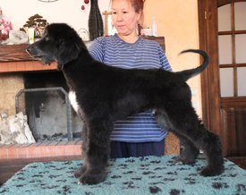 IMG_8258_1.jpg (112.46 КБ, Просмотров: 1517) IMG_8258_1.jpg