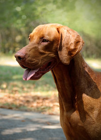 image.jpeg (257.43 КБ, Просмотров: 1335) image.jpeg