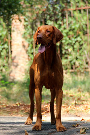 image.jpeg (295.77 КБ, Просмотров: 1335) image.jpeg