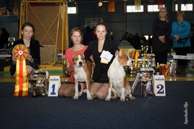 IMG_4136.jpg (122.48 КБ, Просмотров: 10335) IMG_4136.jpg