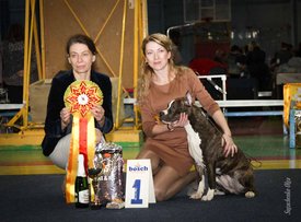 IMG_4139.jpg (120.56 КБ, Просмотров: 10426) IMG_4139.jpg