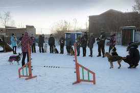 DSC_5119.jpg (752.77 КБ, Просмотров: 7309) DSC_5119.jpg