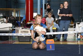 IMG_4272-2.jpg (128.21 КБ, Просмотров: 10423) IMG_4272-2.jpg