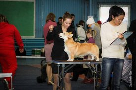 IMG_4276-2.jpg (105.02 КБ, Просмотров: 10535) IMG_4276-2.jpg