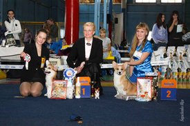 IMG_4322.jpg (136.89 КБ, Просмотров: 10422) IMG_4322.jpg