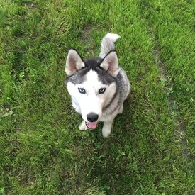 IMG_20170114_143040_41.jpg (164.68 КБ, Просмотров: 1672) IMG_20170114_143040_41.jpg