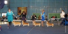 IMG_4446.jpg (113.28 КБ, Просмотров: 10535) IMG_4446.jpg