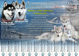 00000.jpg (190.93 КБ, Просмотров: 1624) 00000.jpg