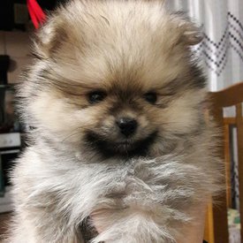 9eBA3nN9kJ0.jpg (283.41 КБ, Просмотров: 1308) 9eBA3nN9kJ0.jpg