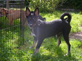 2gQmd0g8.jpg (59.37 КБ, Просмотров: 6366) 2gQmd0g8.jpg