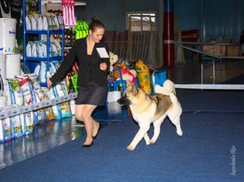 IMG_4609.jpg (139.57 КБ, Просмотров: 10423) IMG_4609.jpg