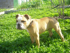 2gQmd0g9.jpg (75.74 КБ, Просмотров: 6380) 2gQmd0g9.jpg