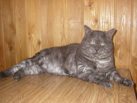 2gQmd0gb.jpg (55.93 КБ, Просмотров: 6233) 2gQmd0gb.jpg