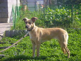 2gQmd0gd.jpg (78.91 КБ, Просмотров: 6366) 2gQmd0gd.jpg