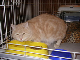 2gQmd0ge.jpg (70.07 КБ, Просмотров: 6366) 2gQmd0ge.jpg