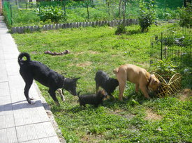 2gQmd0gg.jpg (183.06 КБ, Просмотров: 6380) 2gQmd0gg.jpg