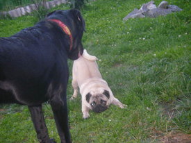 2gQmd0gi.jpg (47.32 КБ, Просмотров: 6366) 2gQmd0gi.jpg