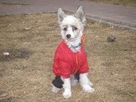 9mYYBes8.jpg (50.28 КБ, Просмотров: 6380) 9mYYBes8.jpg