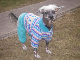 9mYYBesu.jpg (55.04 КБ, Просмотров: 6366) 9mYYBesu.jpg