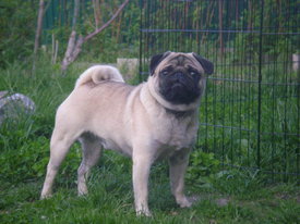 10tdQE4Me.jpg (42.46 КБ, Просмотров: 6233) 10tdQE4Me.jpg