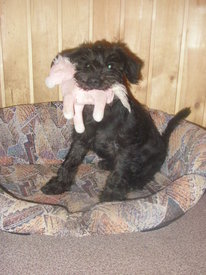 16qWhW6dN.jpg (65.17 КБ, Просмотров: 6233) 16qWhW6dN.jpg