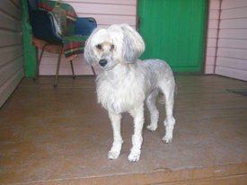 18qb6mByw.jpg (42.6 КБ, Просмотров: 6380) 18qb6mByw.jpg