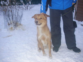 DKMgB1hP.jpg (54.9 КБ, Просмотров: 6233) DKMgB1hP.jpg