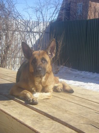 DKMgB1hQ.jpg (85.2 КБ, Просмотров: 6366) DKMgB1hQ.jpg