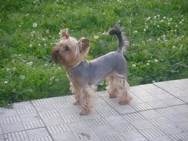 DKMgB1hR.jpg (55.94 КБ, Просмотров: 6366) DKMgB1hR.jpg